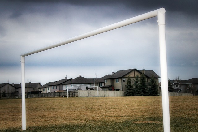 聯賽的支持 聯賽的支持