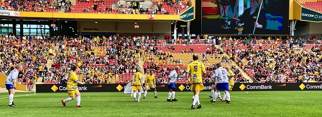 资深媒体人 资深媒体人