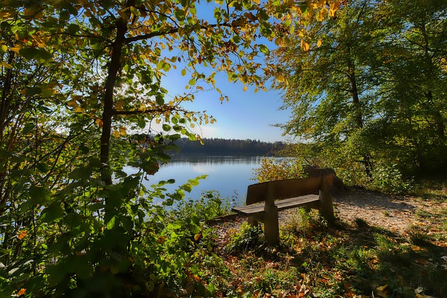 前英格兰队 前英格兰队