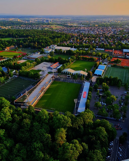 凭借超凡的 凭借超凡的