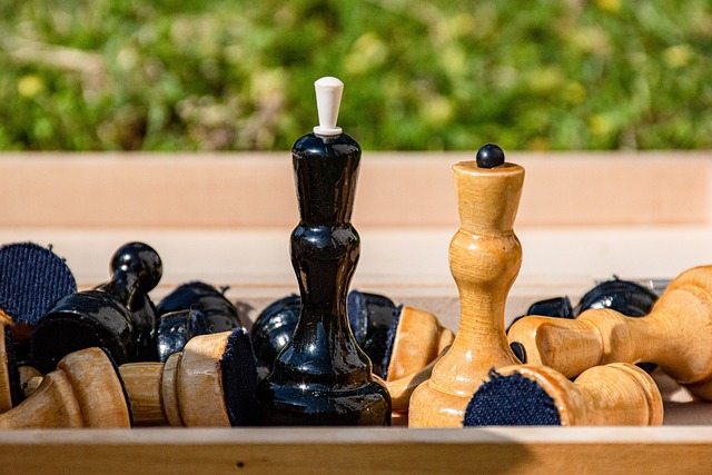 游的无限魅 游的无限魅