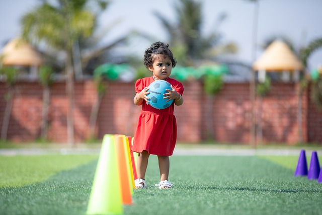 的球迷表示 的球迷表示