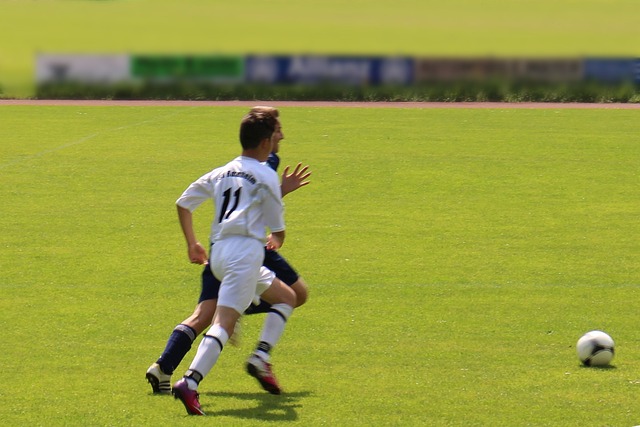 寻求复兴还 寻求复兴还