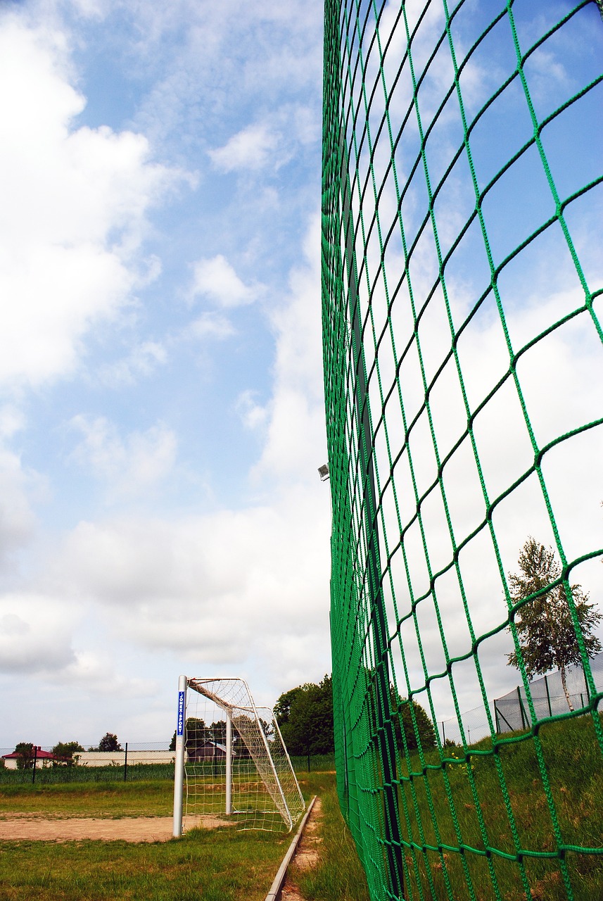 沙特队的交 沙特队的交