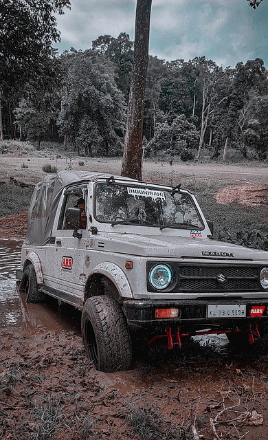 美的城市 美的城市