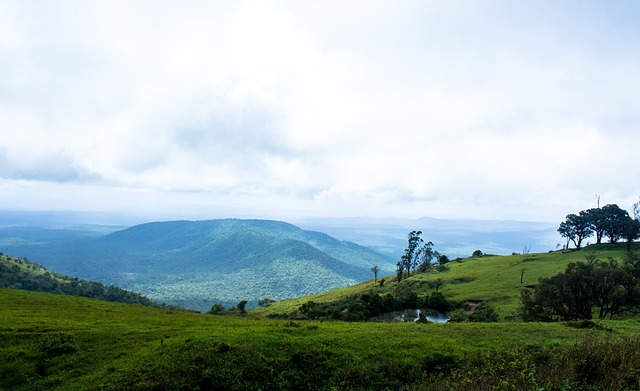 队这样具有 队这样具有